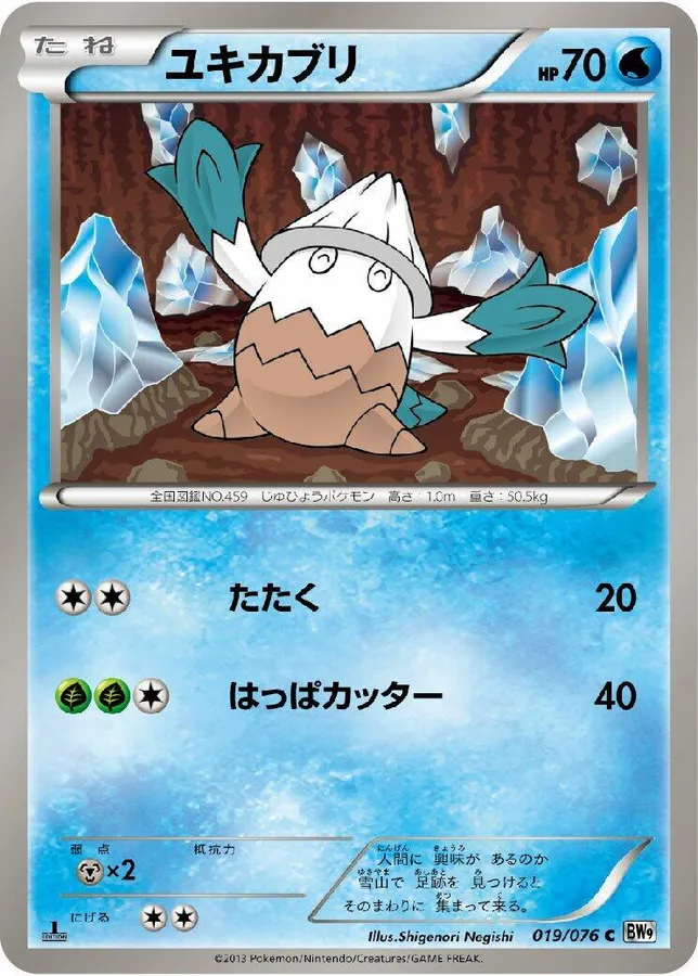 Snover [1st-Edition]